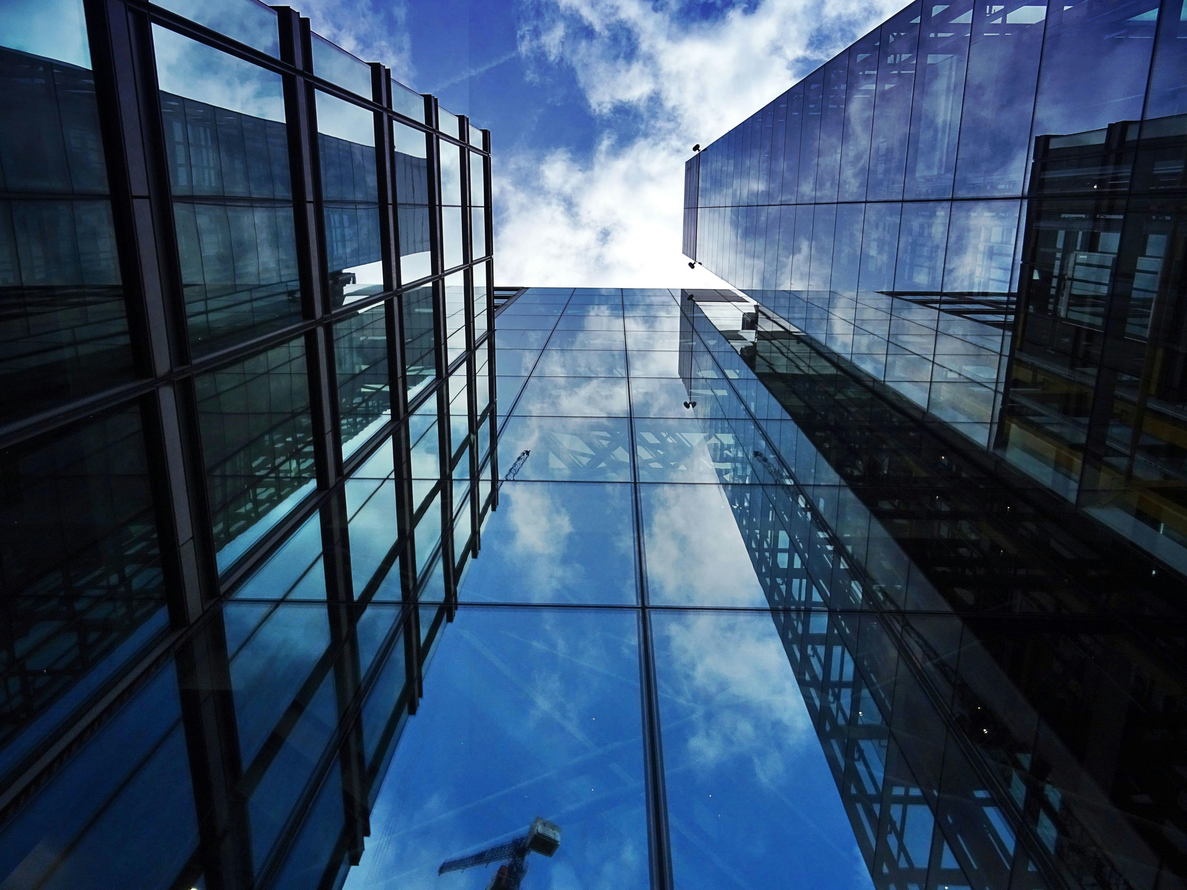 Skyscrape